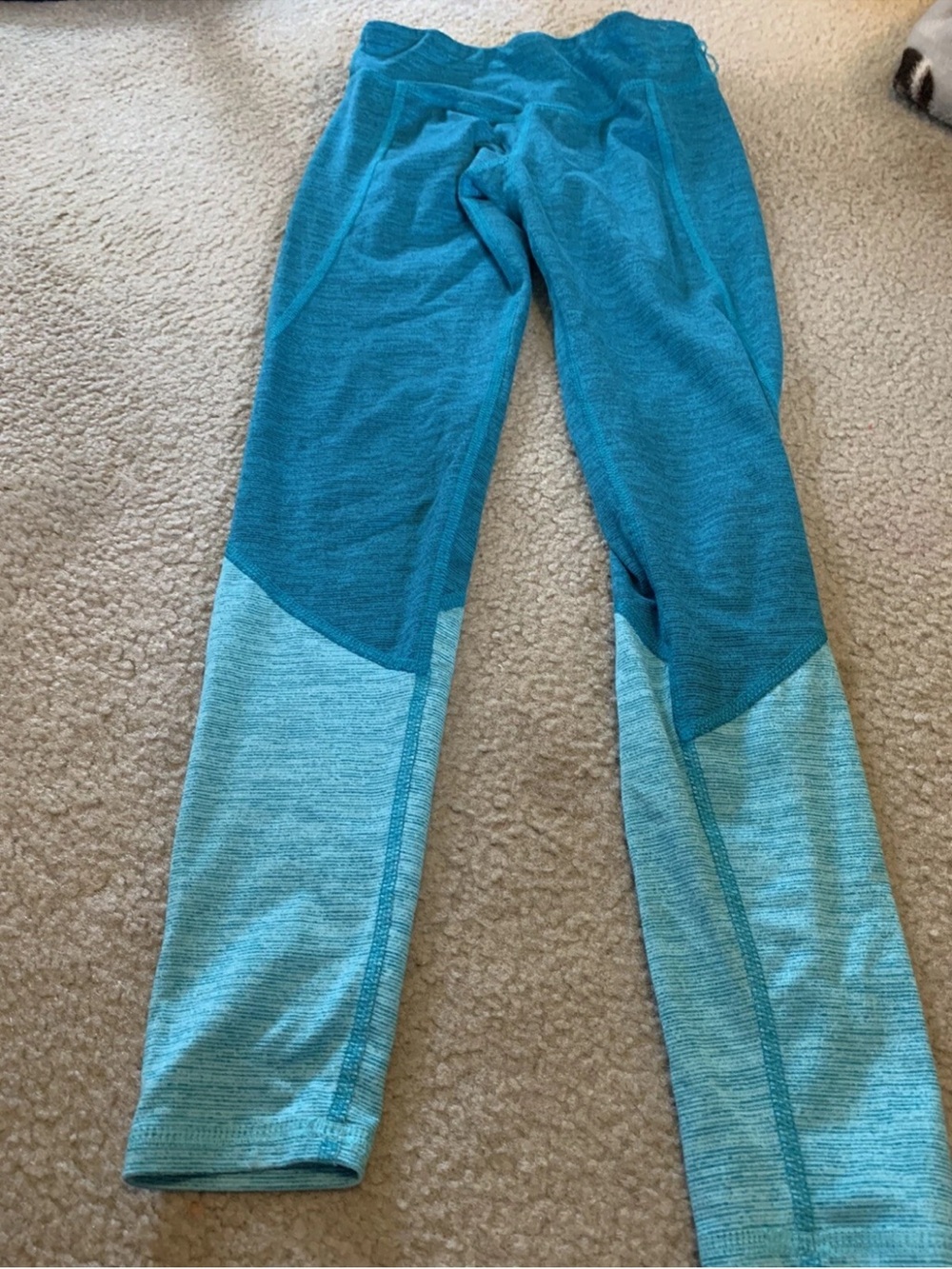 champion size 7/8 pants